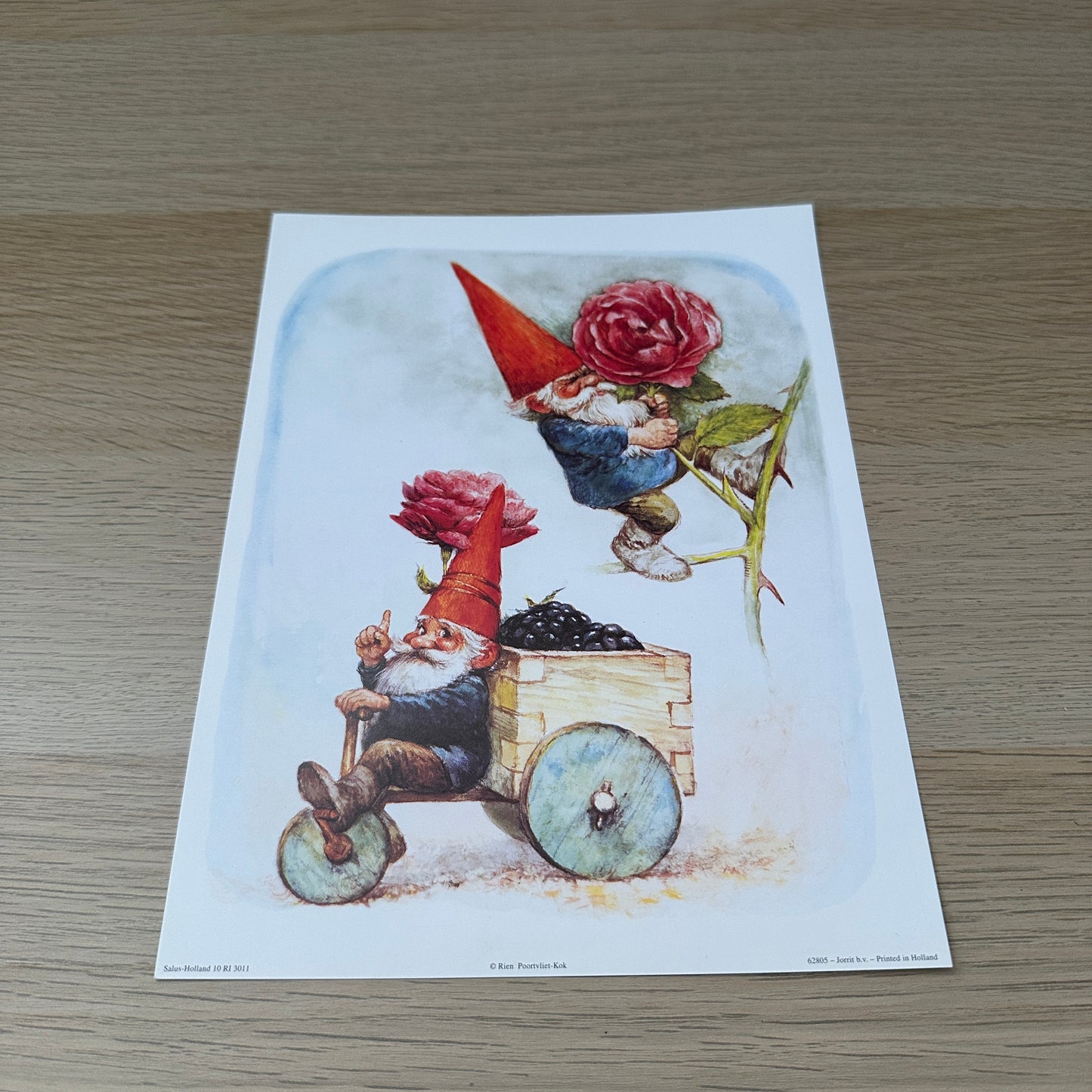 Rien Poortvliet #7 | Gnomes & Roses  | 1980s | Art Print