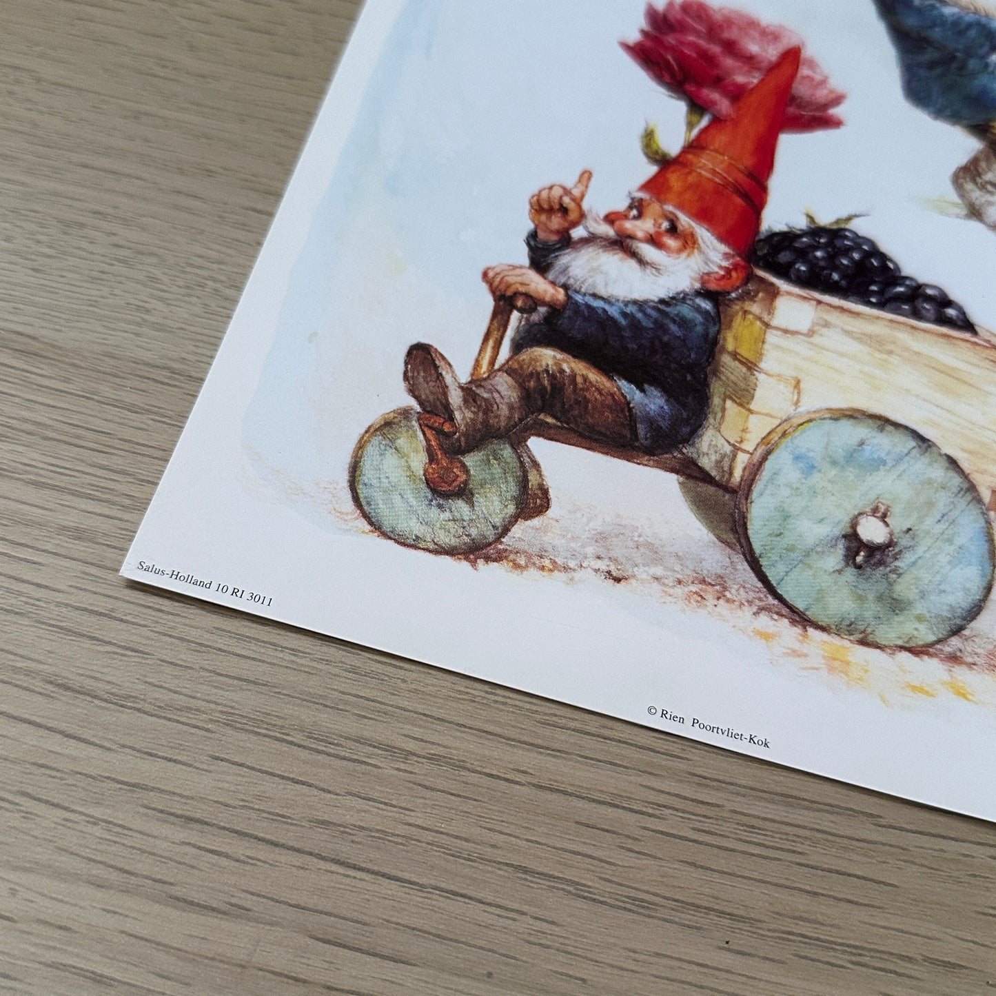 Rien Poortvliet #7 | Gnomes & Roses  | 1980s | Art Print