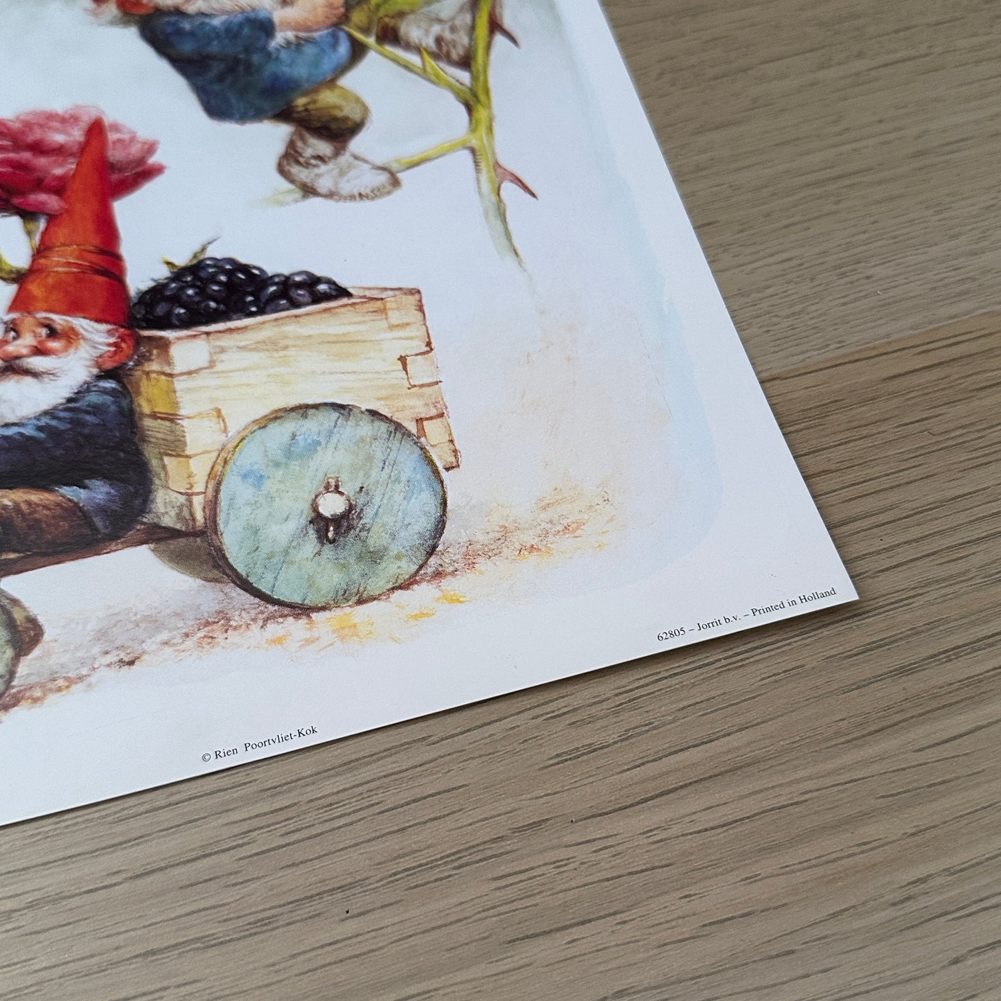 Rien Poortvliet #7 | Gnomes & Roses  | 1980s | Art Print