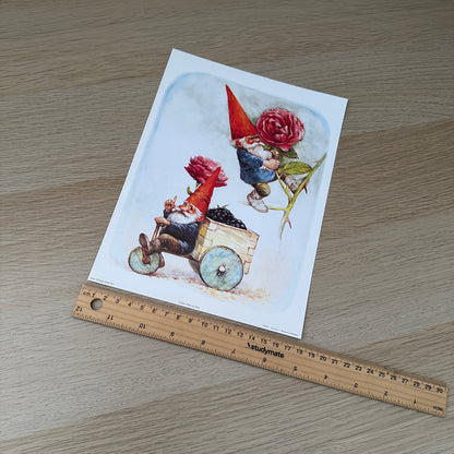 Rien Poortvliet #7 | Gnomes & Roses  | 1980s | Art Print