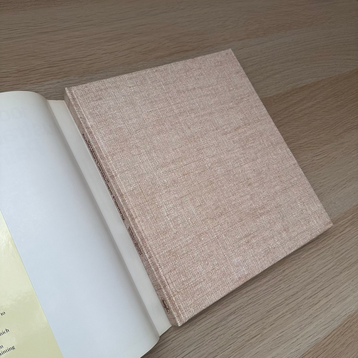 100 Masterpieces of Australian Landscape Painting | Susan Bruce & William Splatt