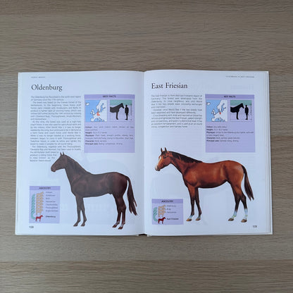 Horse Facts | Susan McBane & Helen Douglas-Cooper
