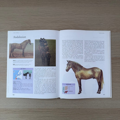 Horse Facts | Susan McBane & Helen Douglas-Cooper