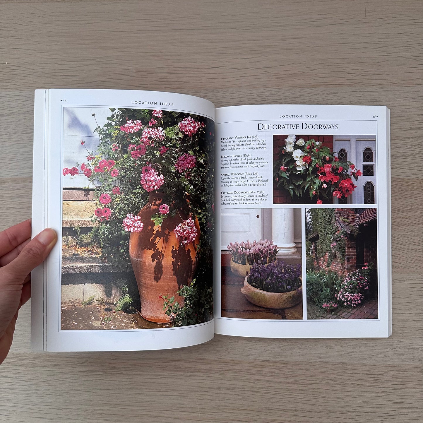 Container Gardening Through The Year | Malcolm Hillier