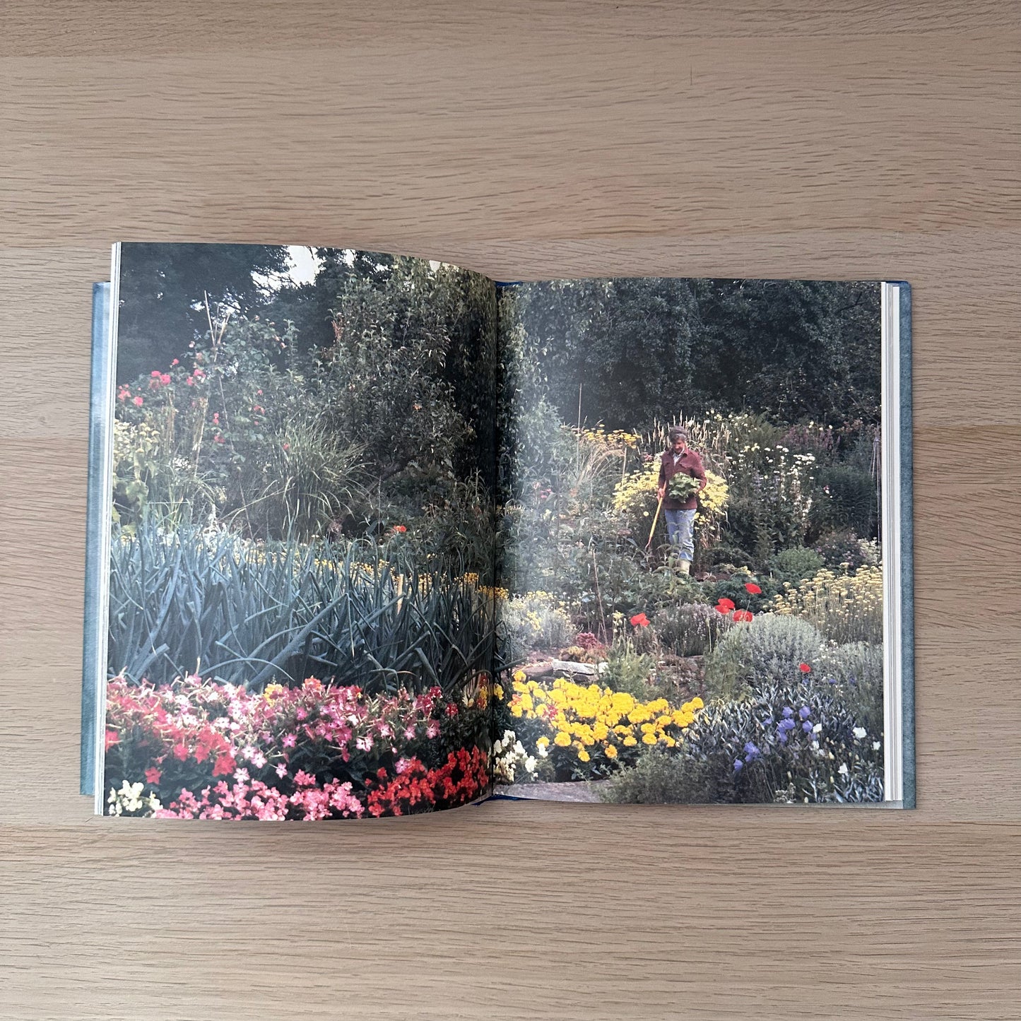 The Kitchen Gardener | 1992 | David Pople