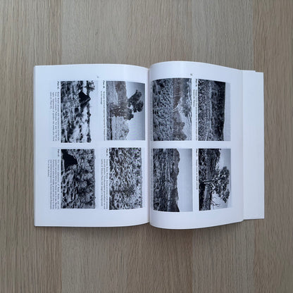 Ecological Survey of Abydos-Woodstock Reserve, Western Australia