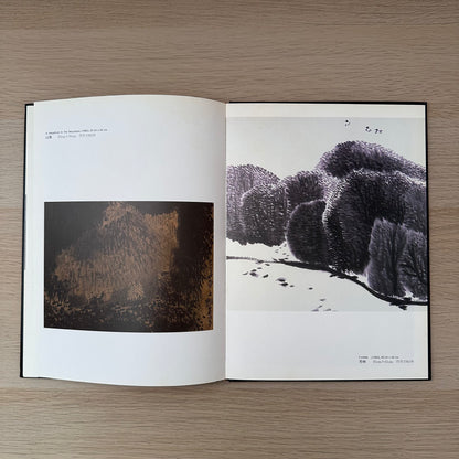 The Life and Works of Jia Youfu | 1990 | Contemporary Chinese Artists