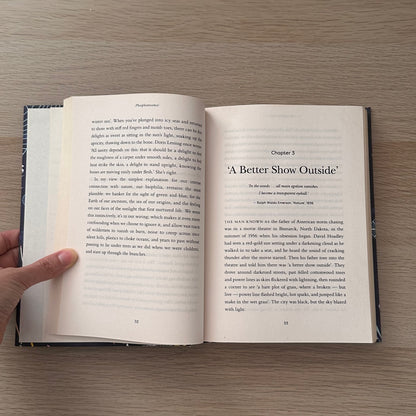 Phosphorescence | Hardcover | Julia Baird