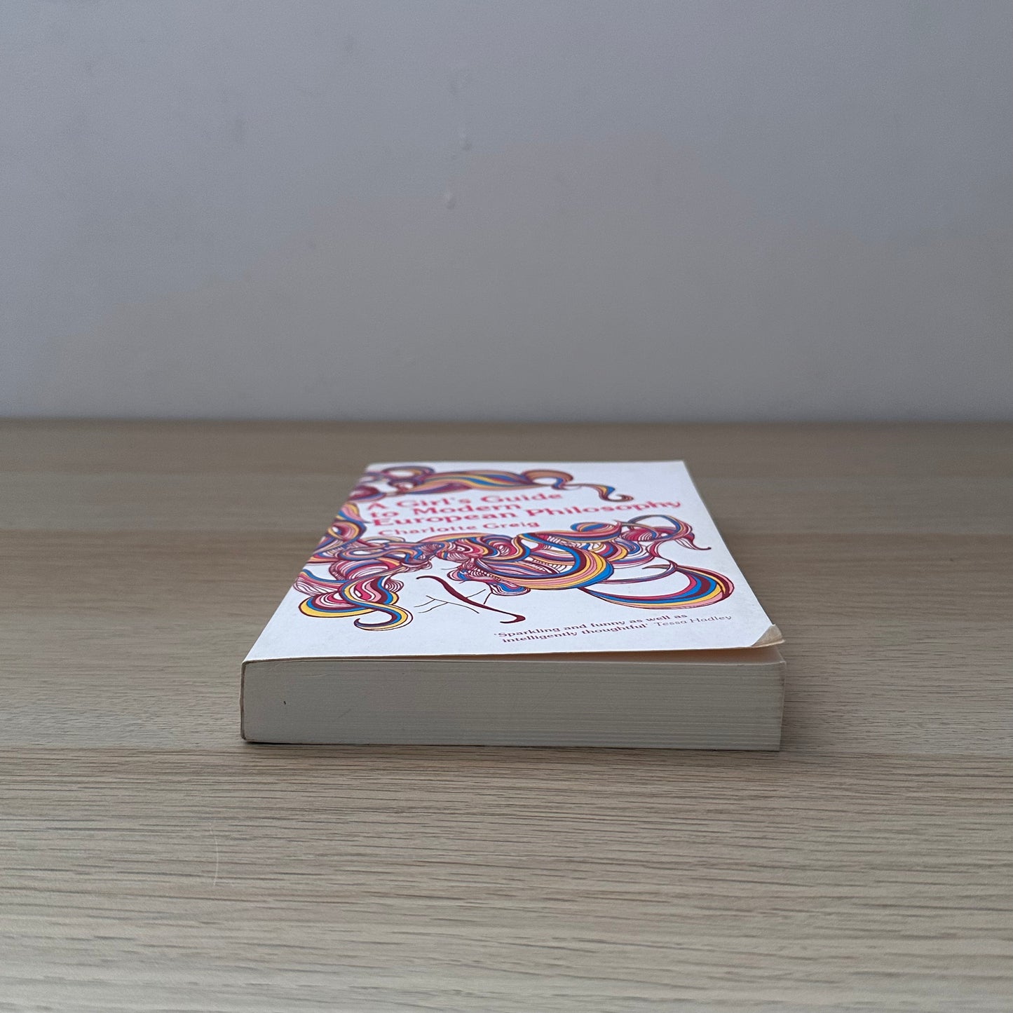 A Girl's Guide to Modern European Philosophy | Charlotte Greig