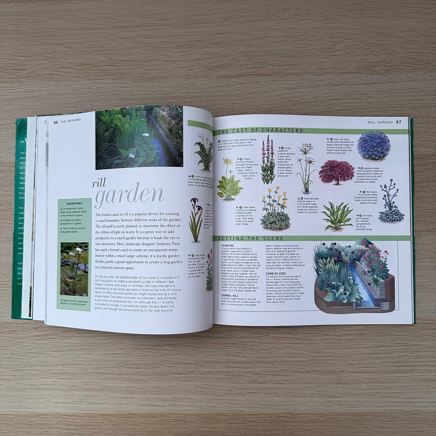 The Water Garden Design Book | 2002 | Paperback | Yvonne Rees & Peter May