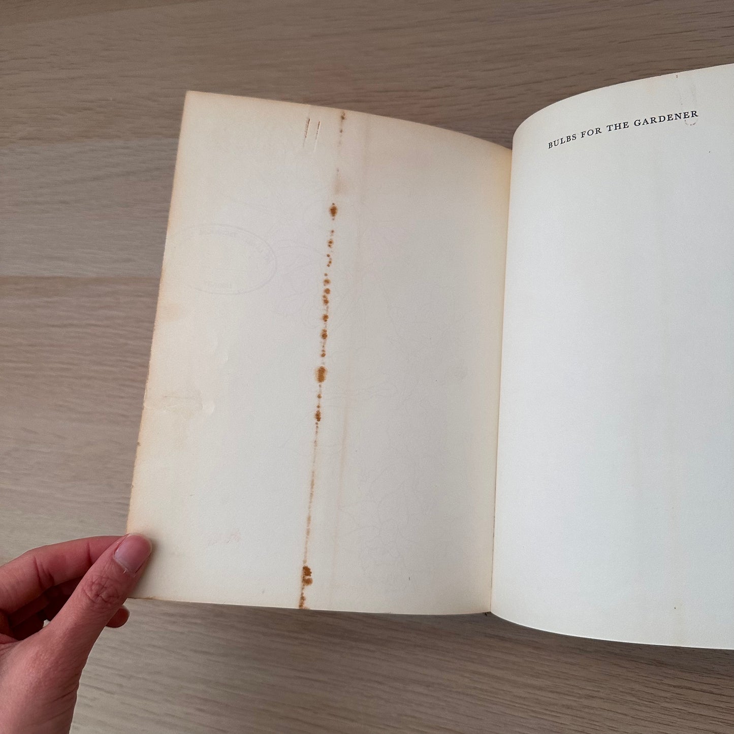 Bulbs from the Gardener | 1968 | Hardcover | Sima Eliovson | Ex-Library