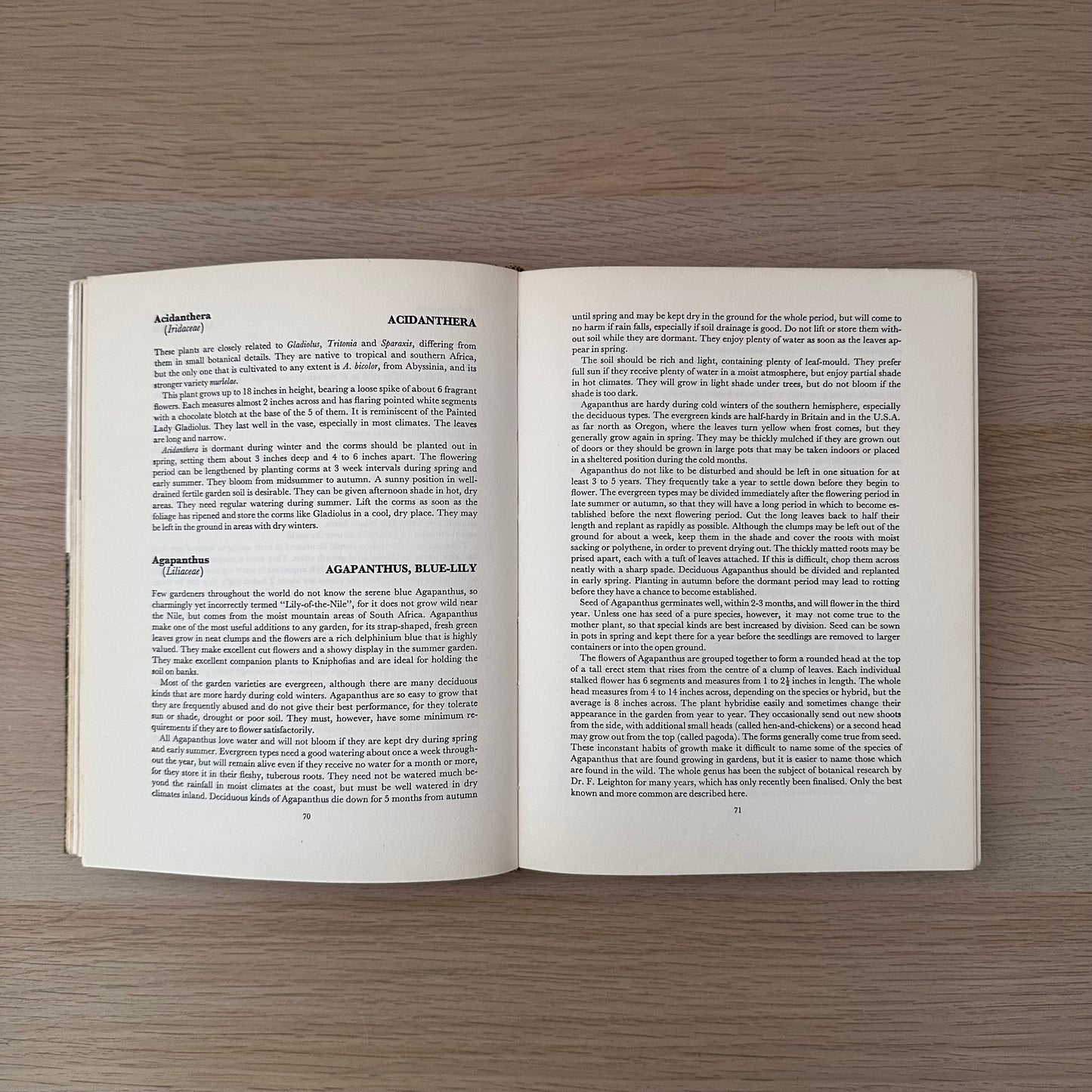 Bulbs from the Gardener | 1968 | Hardcover | Sima Eliovson | Ex-Library