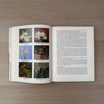 Bulbs from the Gardener | 1968 | Hardcover | Sima Eliovson | Ex-Library