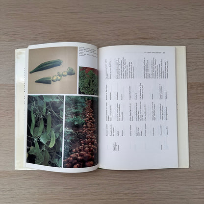 Vegetables for Small Gardens and Containers | Peter De Vaus