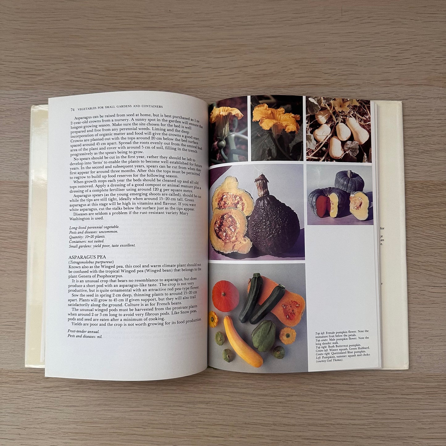 Vegetables for Small Gardens and Containers | Peter De Vaus