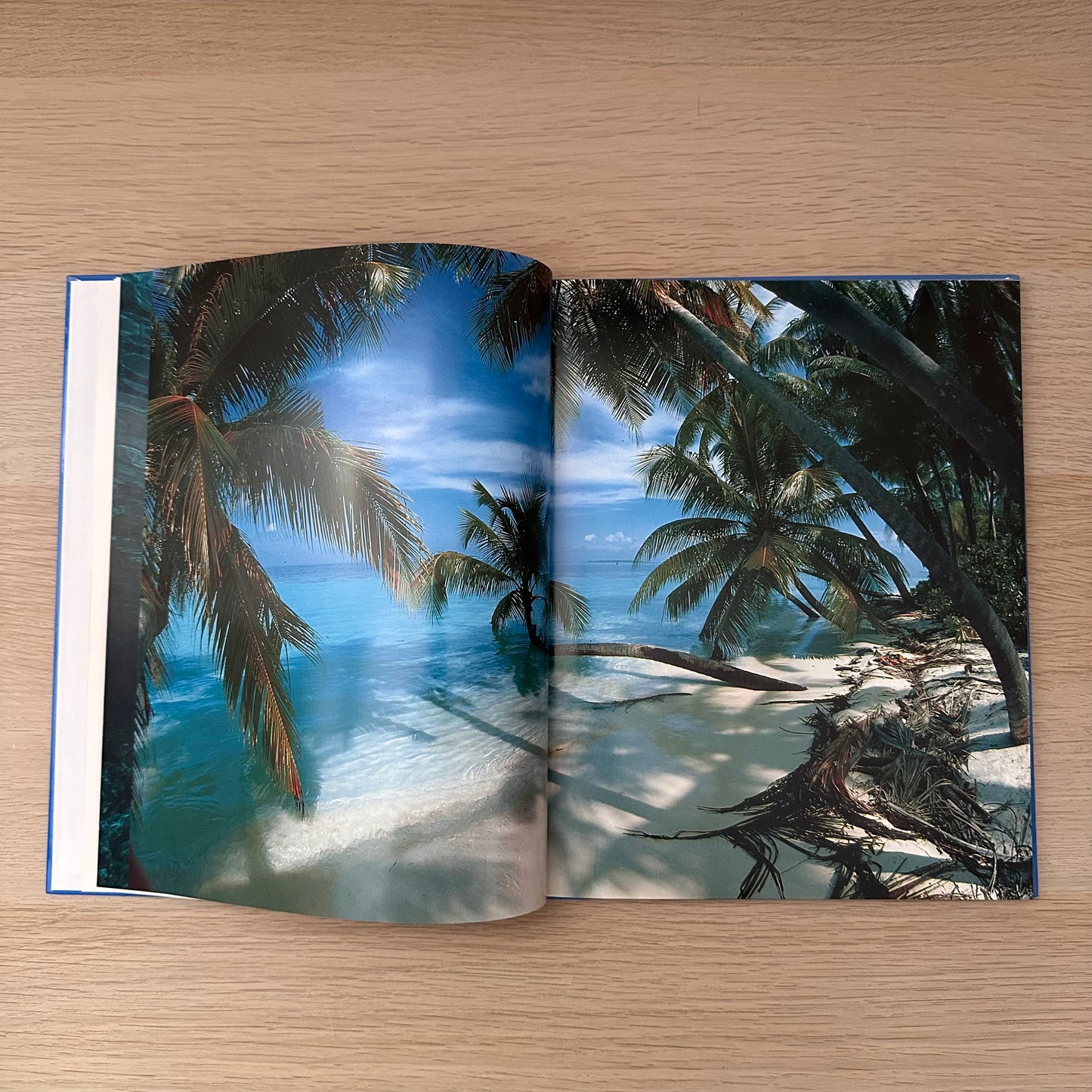 Maldives | Marion Friedel | Photographed By Michael Friedel