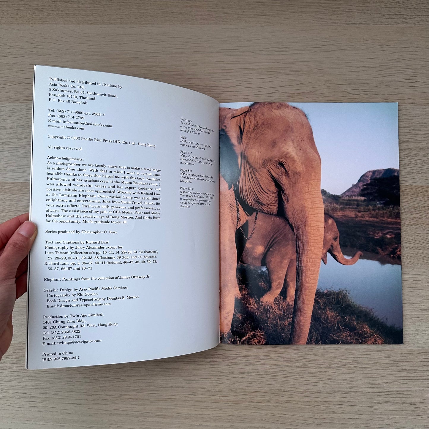 The Elephant in Thai Life | 2003 | Asia Books