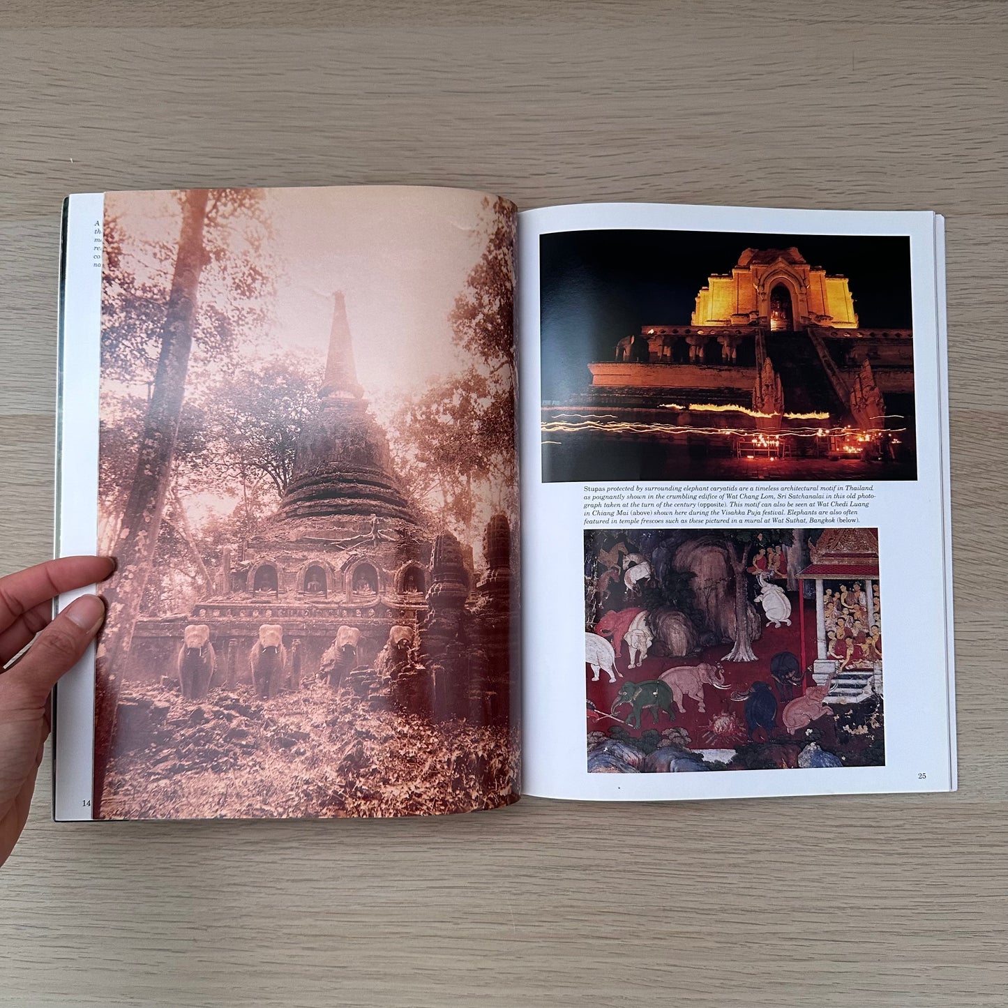 The Elephant in Thai Life | 2003 | Asia Books