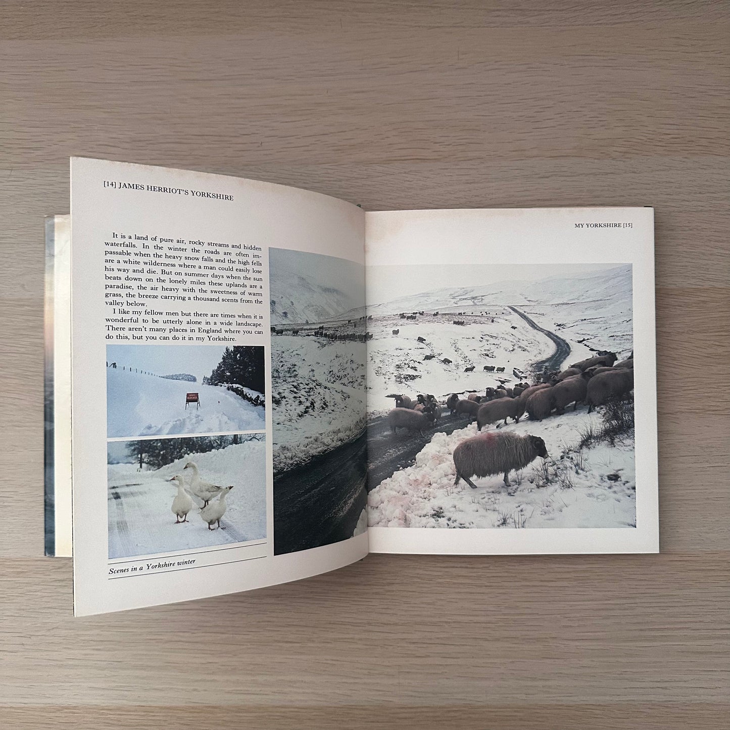 James Herriot's Yorkshire | 1980 | Derry Brabbs