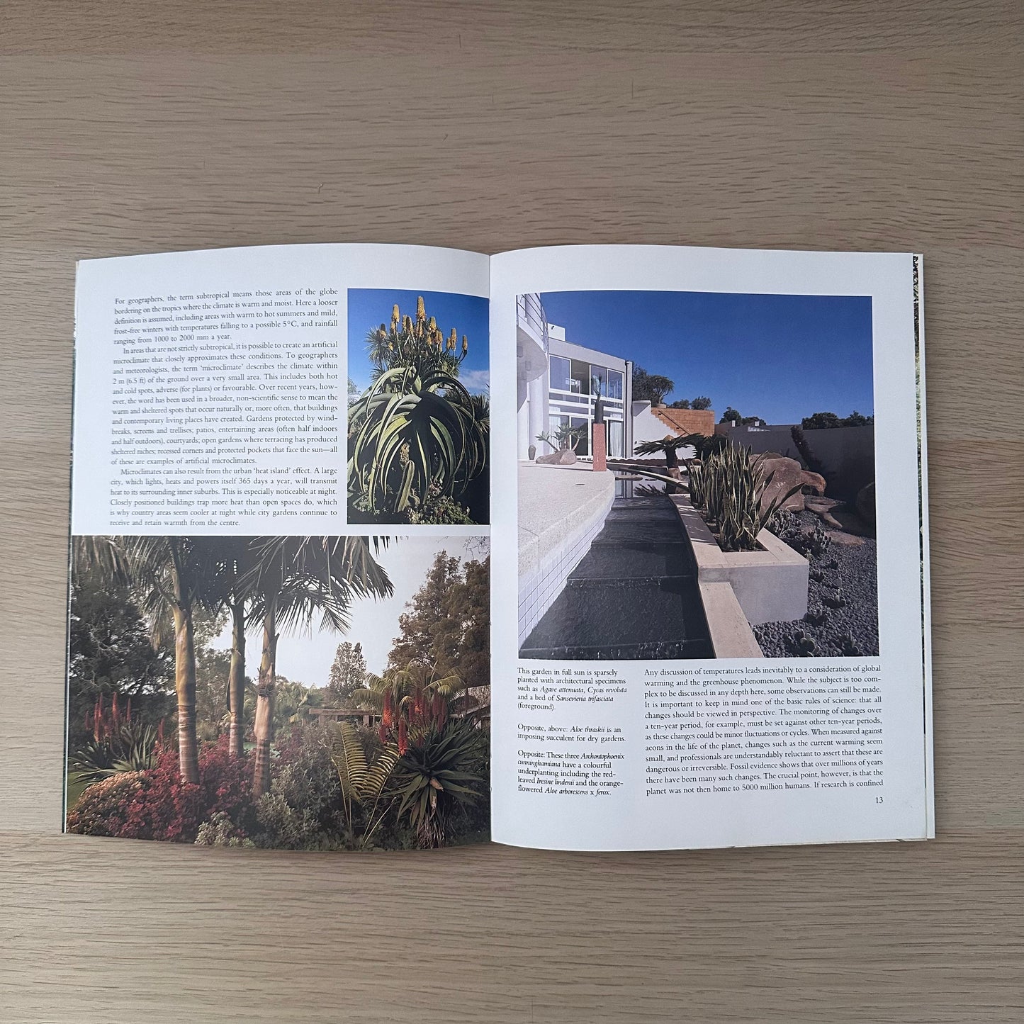 The Subtropical Garden | Gil Hanly And Jacqueline Walker