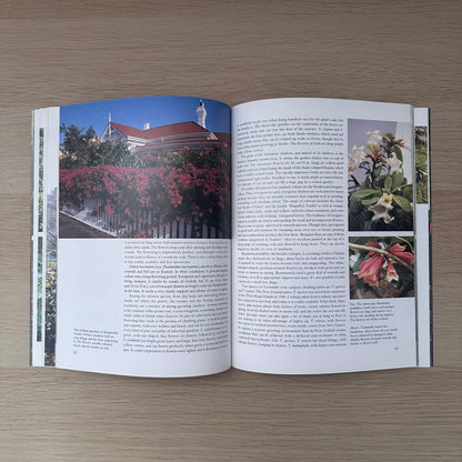 The Subtropical Garden | Gil Hanly And Jacqueline Walker