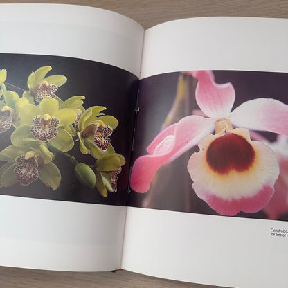 Orchids for the Australian Garden | Keith Irvine