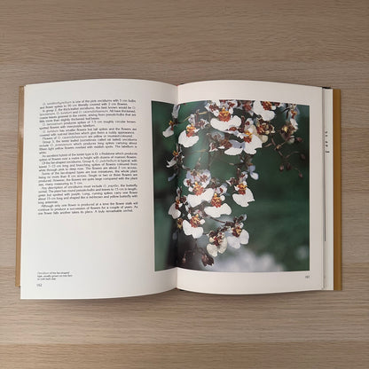 Orchids for the Australian Garden | Keith Irvine