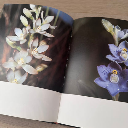 Orchids for the Australian Garden | Keith Irvine