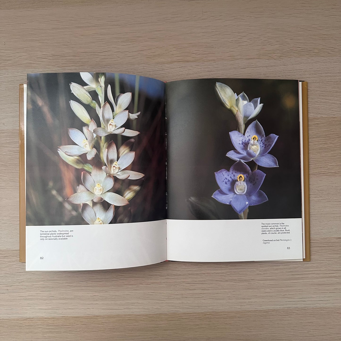 Orchids for the Australian Garden | Keith Irvine