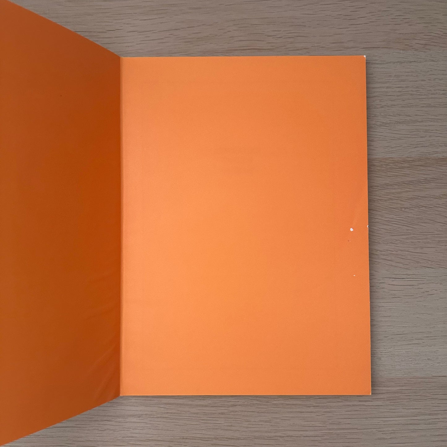 Australian Orchid Designs | Evelyn Hales