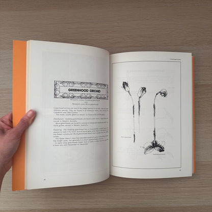 Australian Orchid Designs | Evelyn Hales