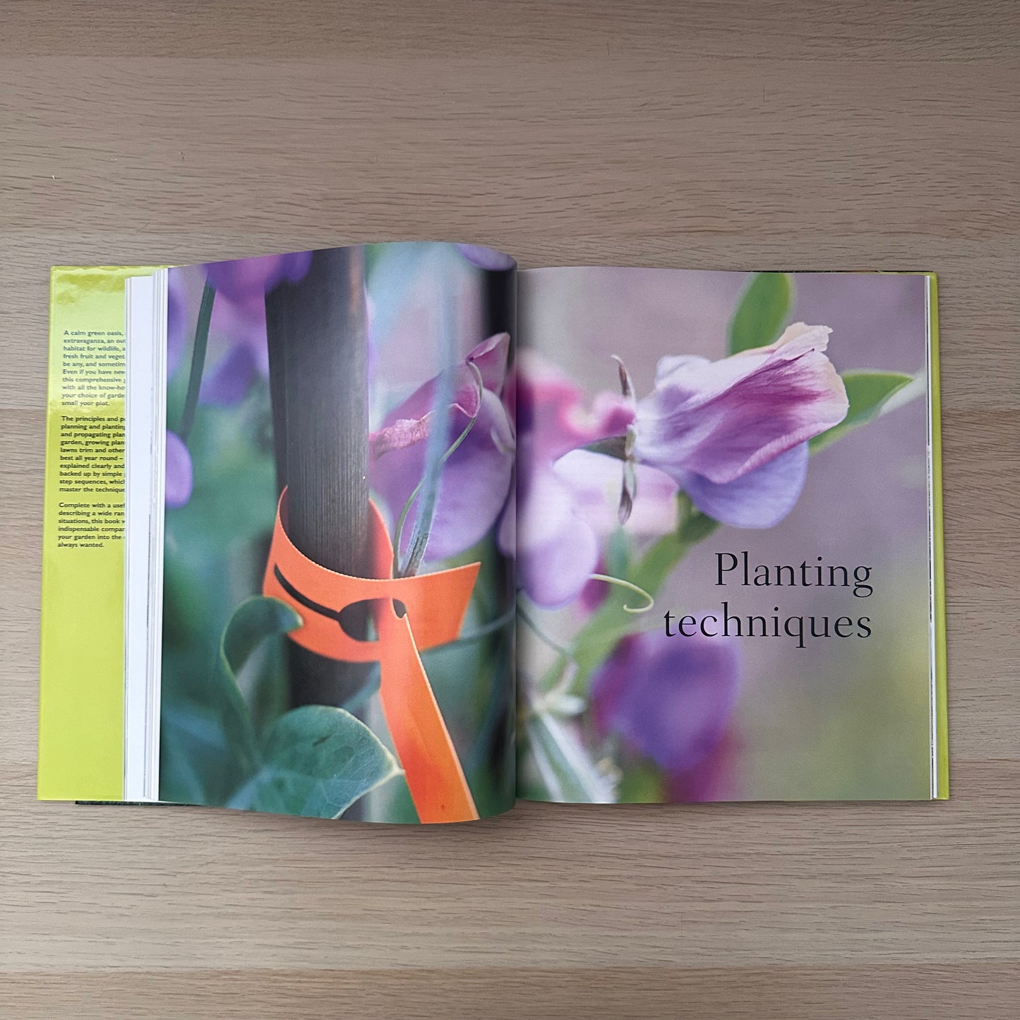 The Essential Guide to Gardening Techniques | Susan Berry