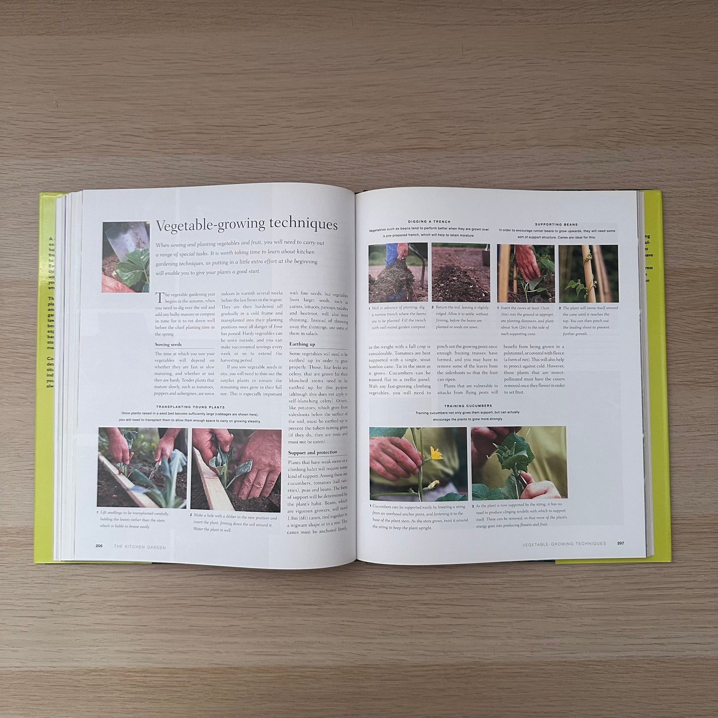 The Essential Guide to Gardening Techniques | Susan Berry