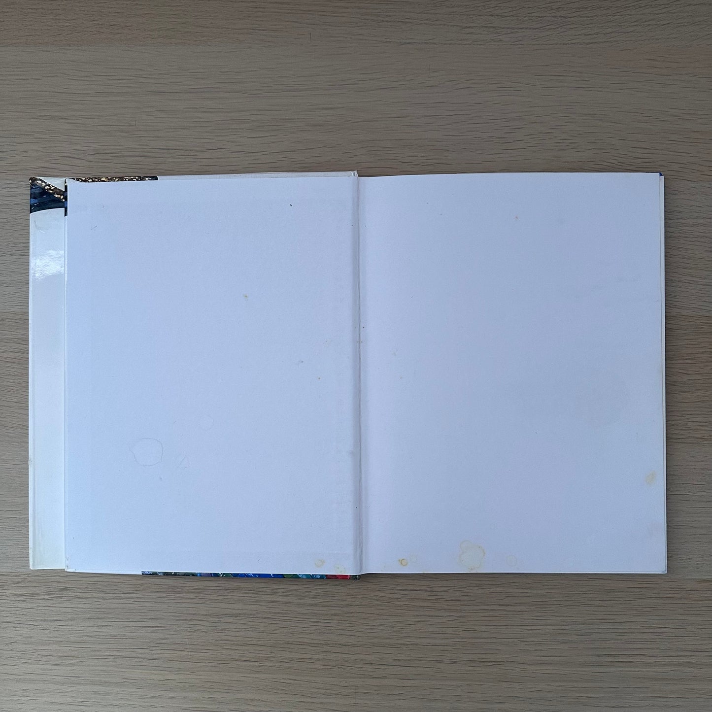 Mosaic Art | Martin Cheek