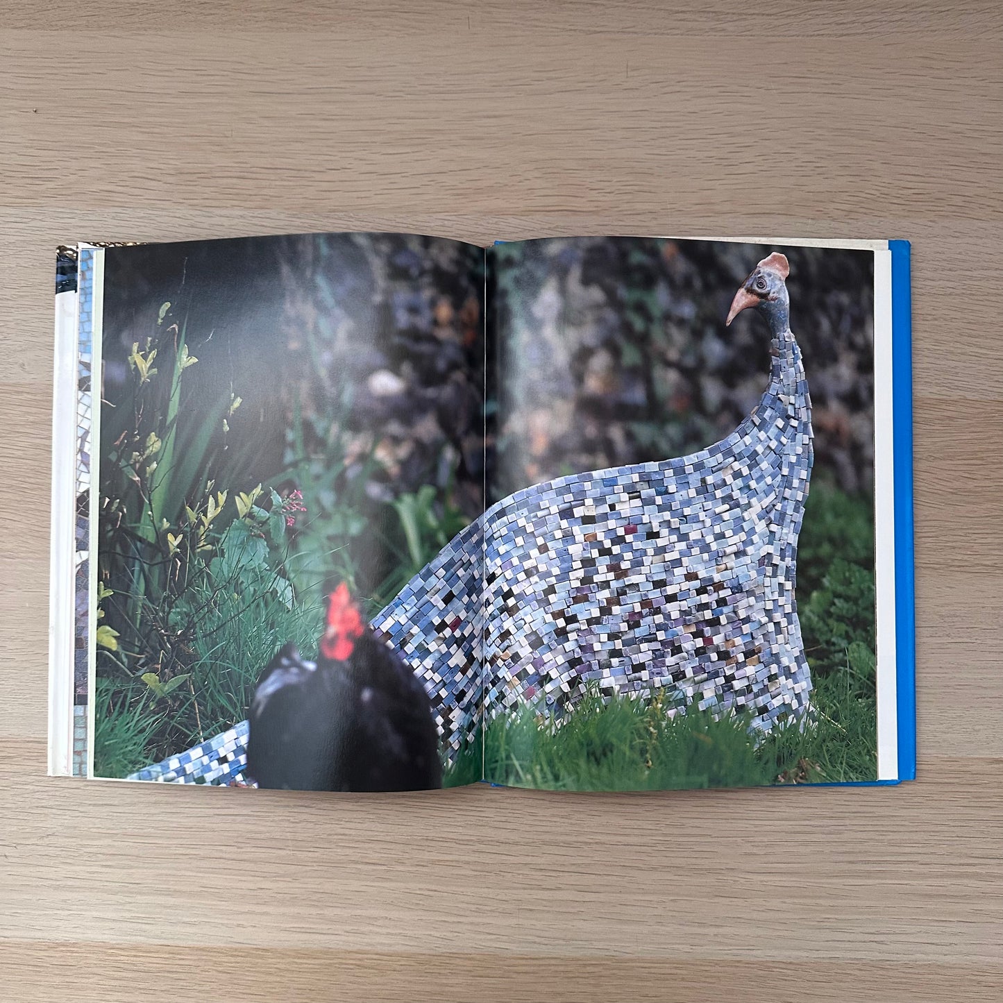 Mosaic Art | Martin Cheek