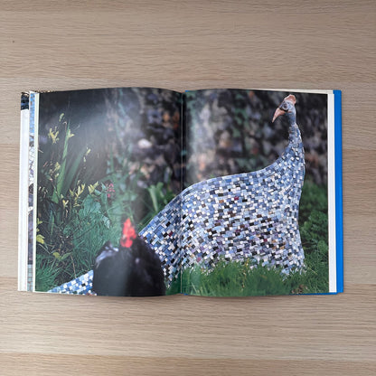 Mosaic Art | Martin Cheek