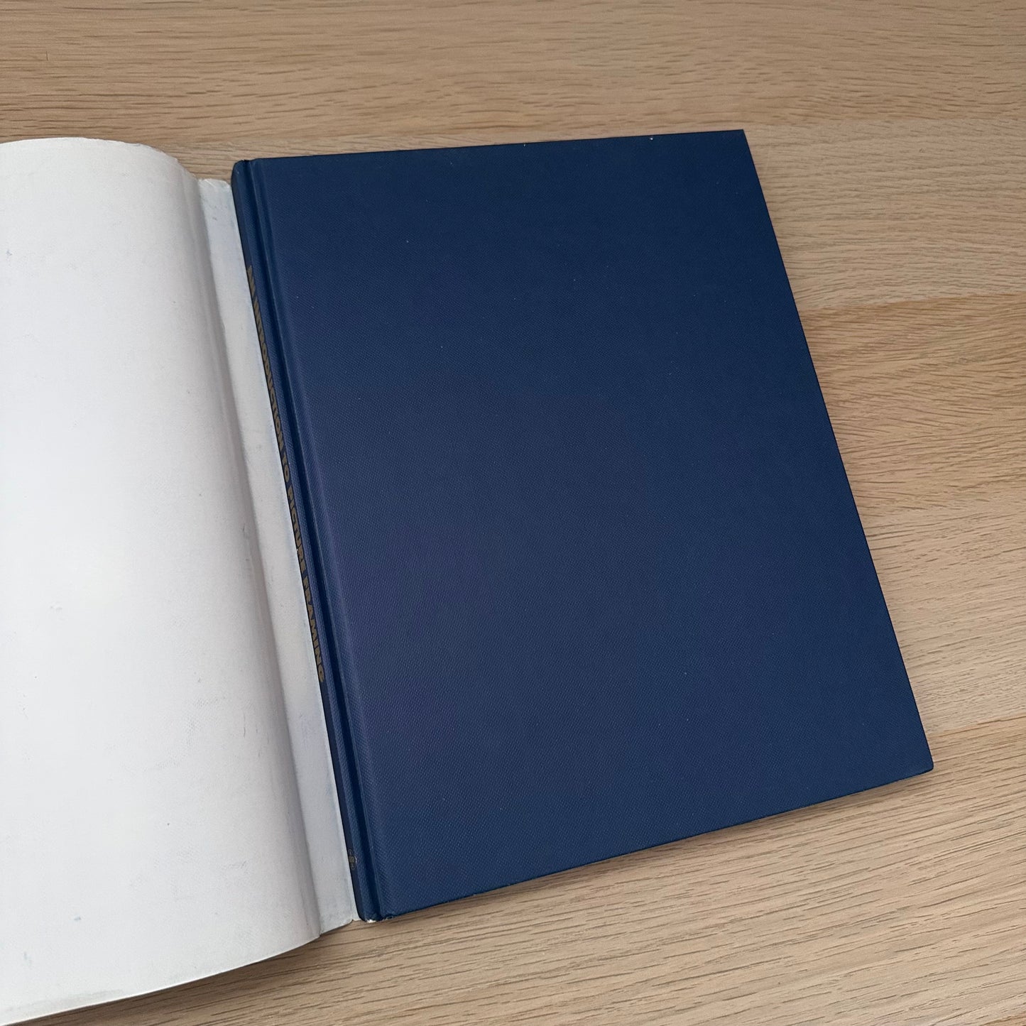 An Introduction to Picture Framing | 1991 | Vivien Frank