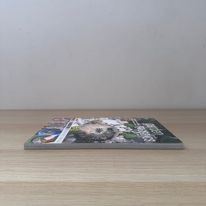 Garden Mosaics | 2004 | Becky Paton