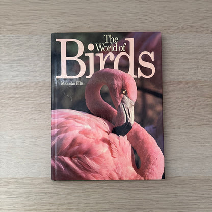 The World of Birds | 1971 | Malcolm Ellis