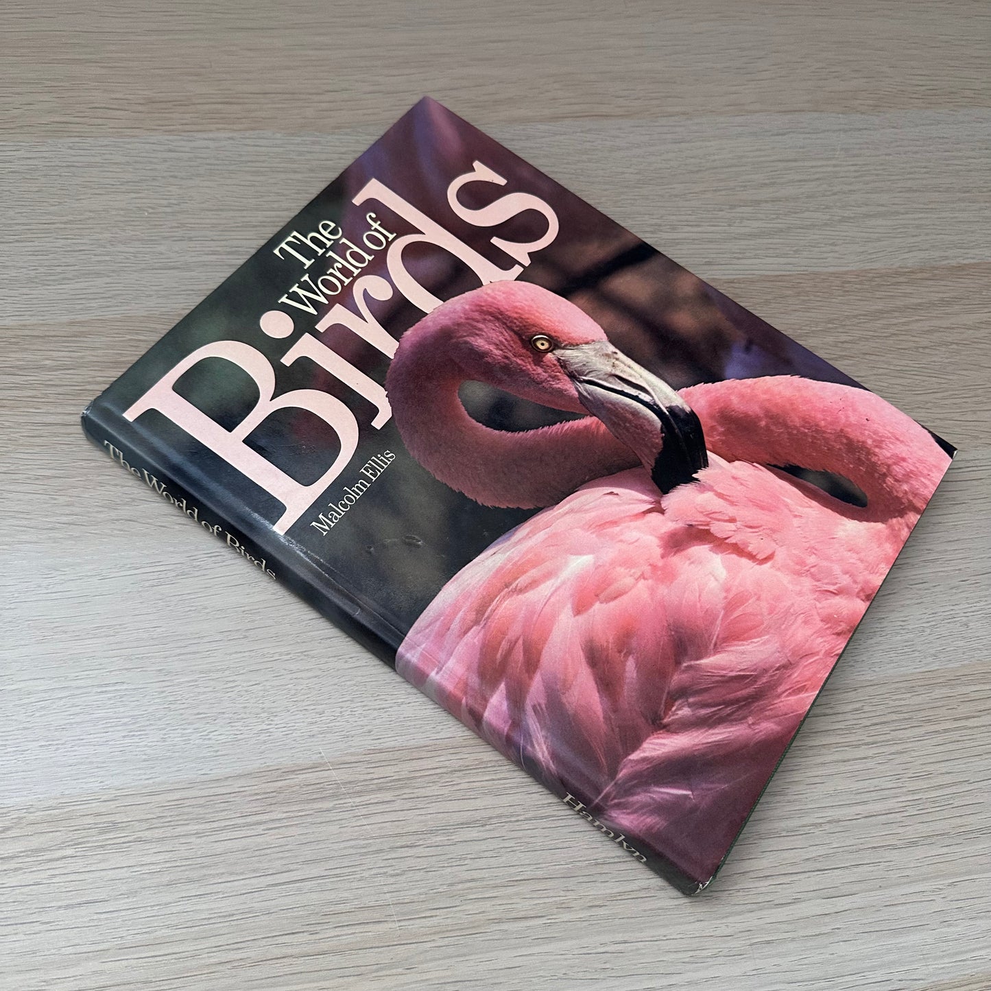 The World of Birds | 1971 | Malcolm Ellis