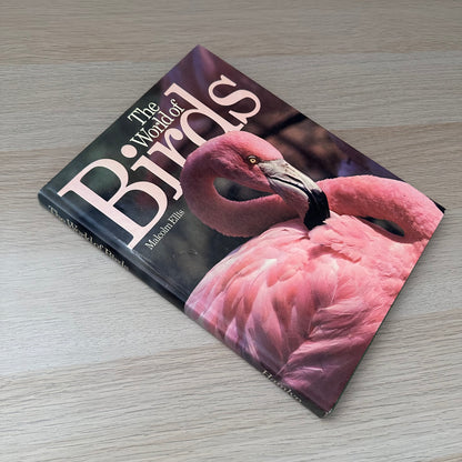 The World of Birds | 1971 | Malcolm Ellis