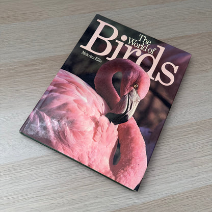 The World of Birds | 1971 | Malcolm Ellis