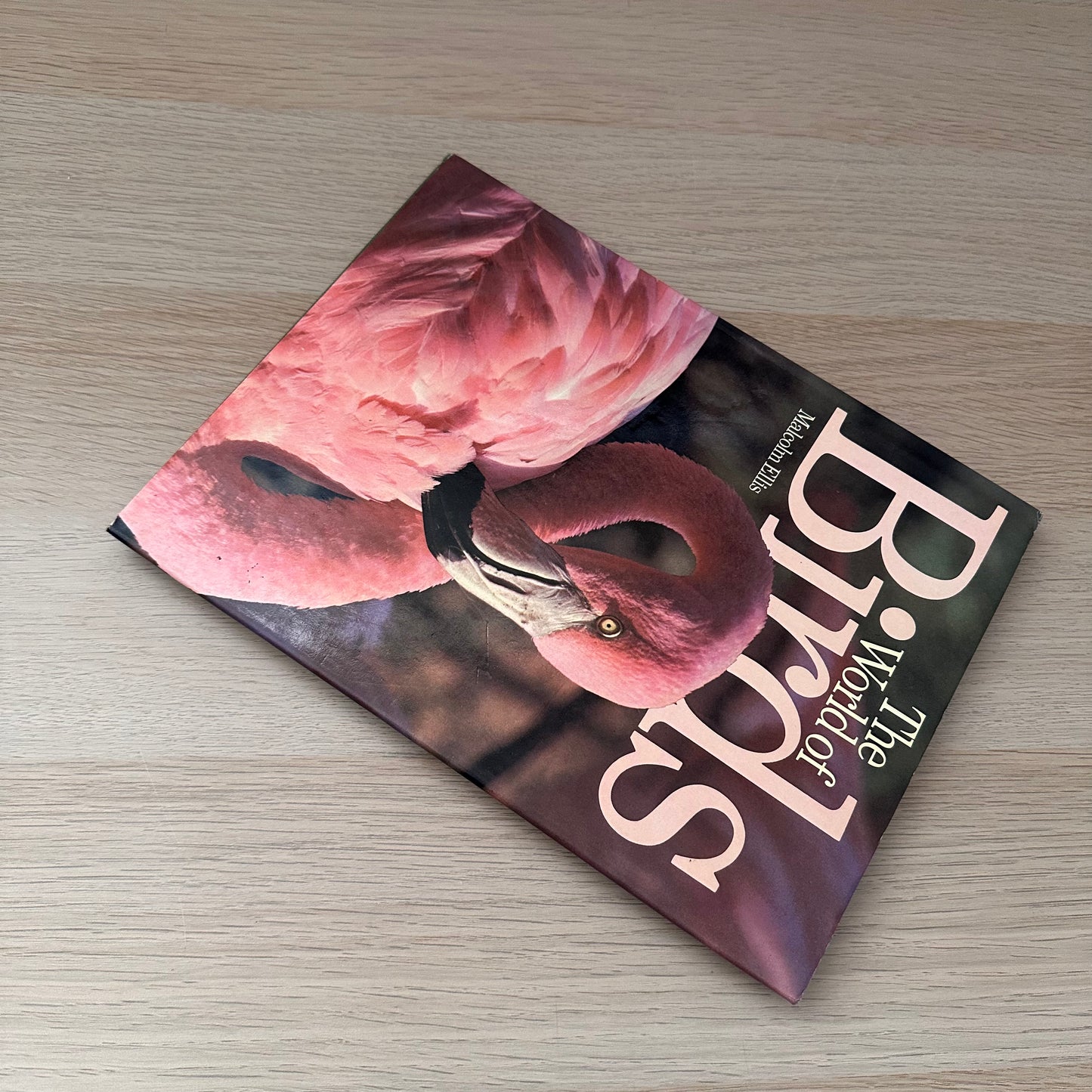 The World of Birds | 1971 | Malcolm Ellis