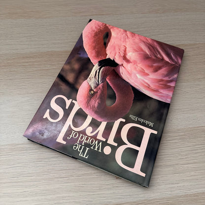 The World of Birds | 1971 | Malcolm Ellis