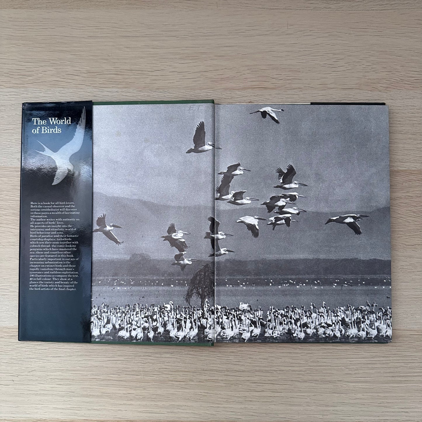 The World of Birds | 1971 | Malcolm Ellis