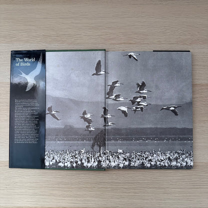 The World of Birds | 1971 | Malcolm Ellis