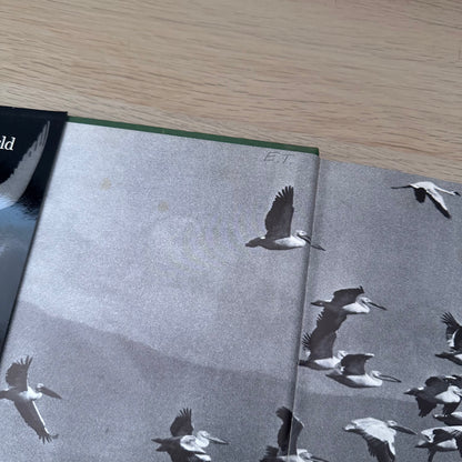 The World of Birds | 1971 | Malcolm Ellis