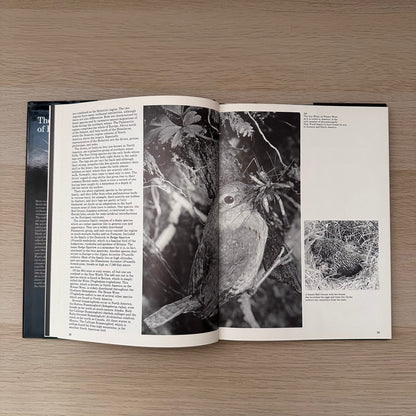 The World of Birds | 1971 | Malcolm Ellis