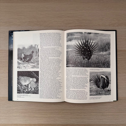 The World of Birds | 1971 | Malcolm Ellis