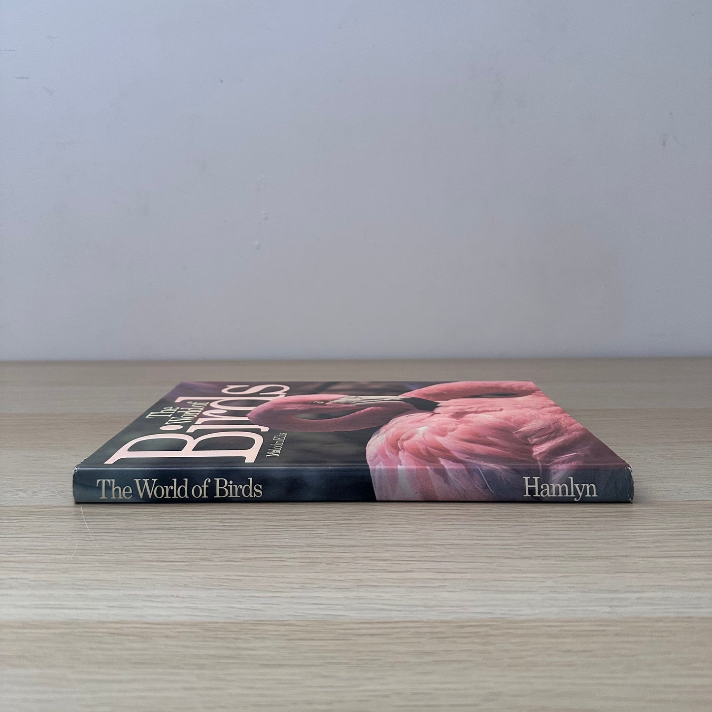 The World of Birds | 1971 | Malcolm Ellis